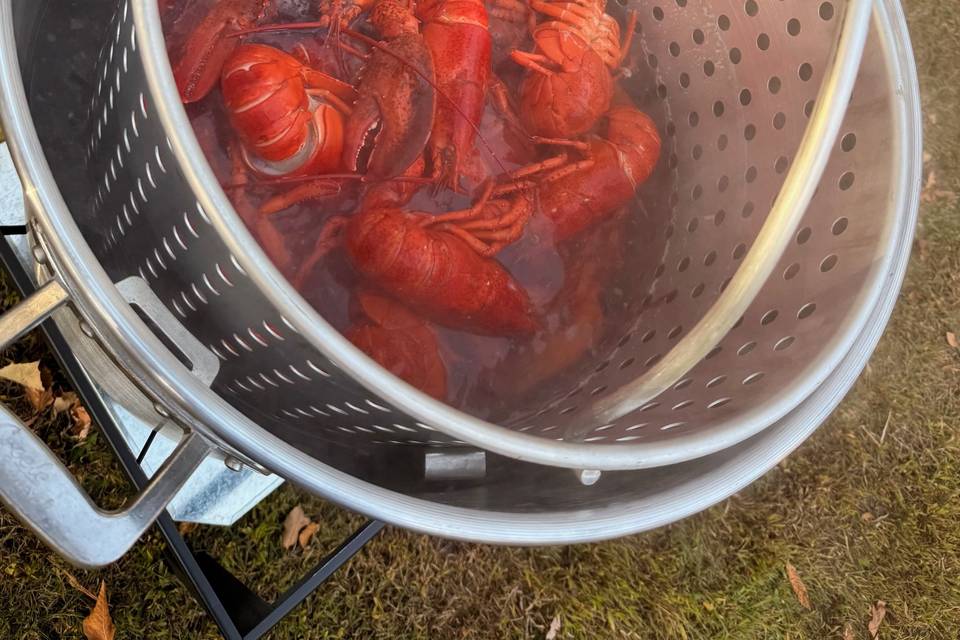 Lobster