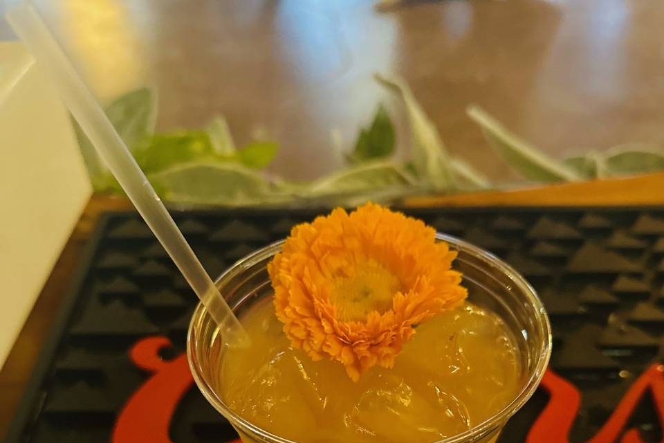 Rum Punch