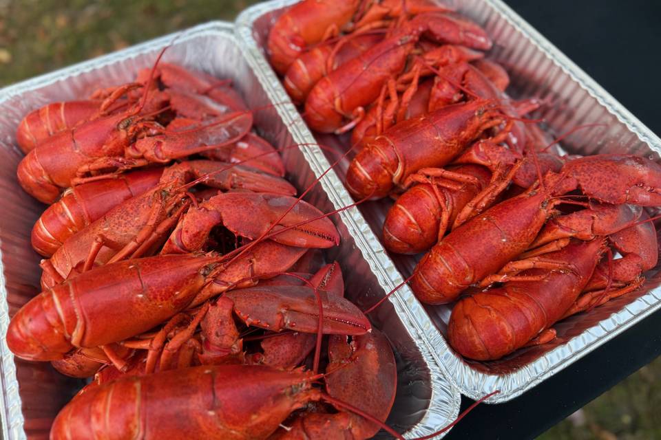 Lobster