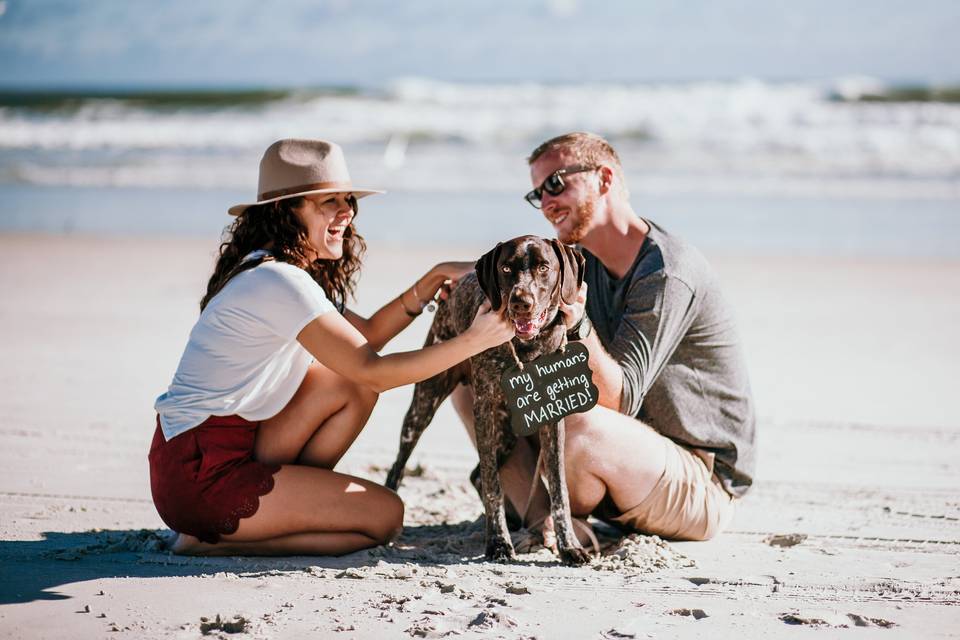 Beach dog engagement