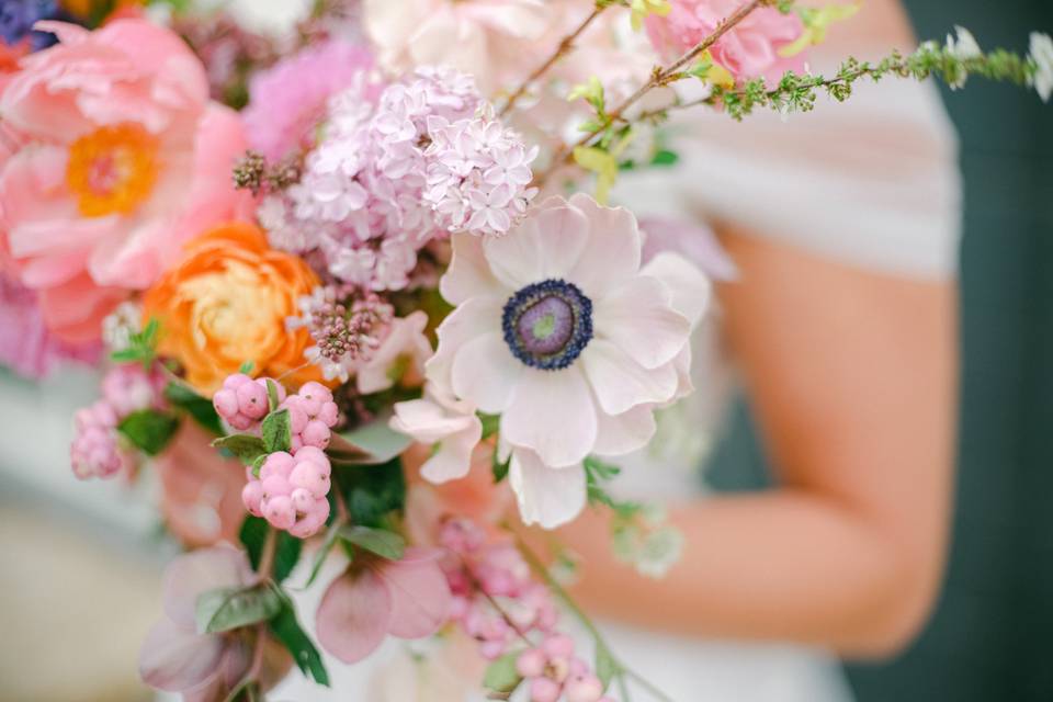 Jenna Wren Photography