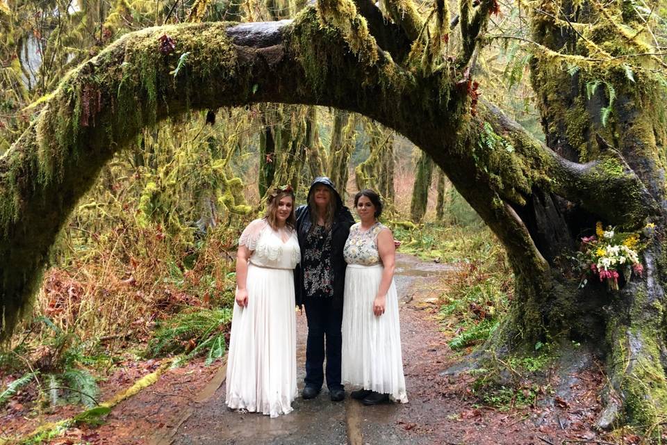 Hall of Mosses, Hoh Rainforest