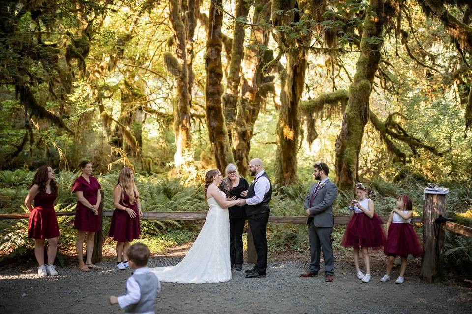 Northwind Nuptials