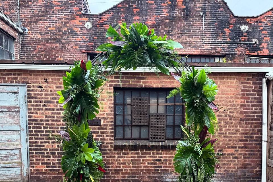 Urban Orchid