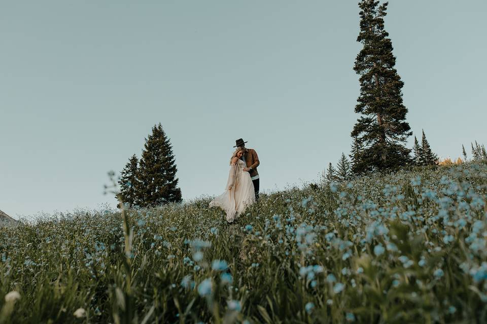 Albion Basin Elopement