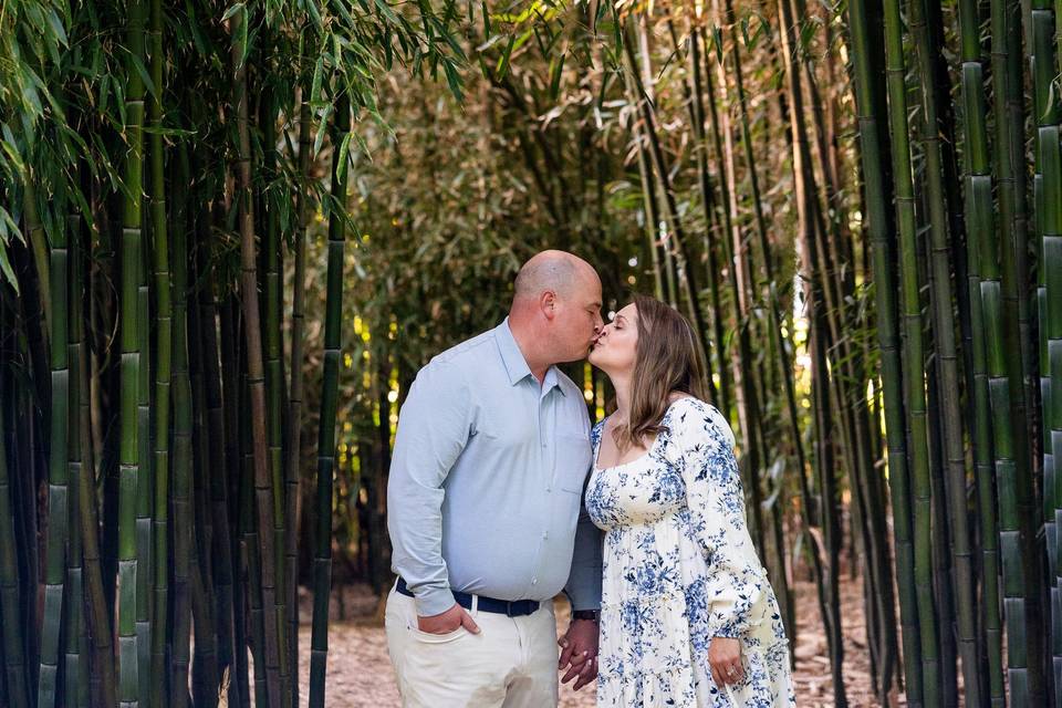 Mel Colvin Photography