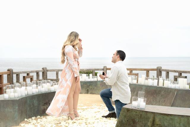 Romantic proposal