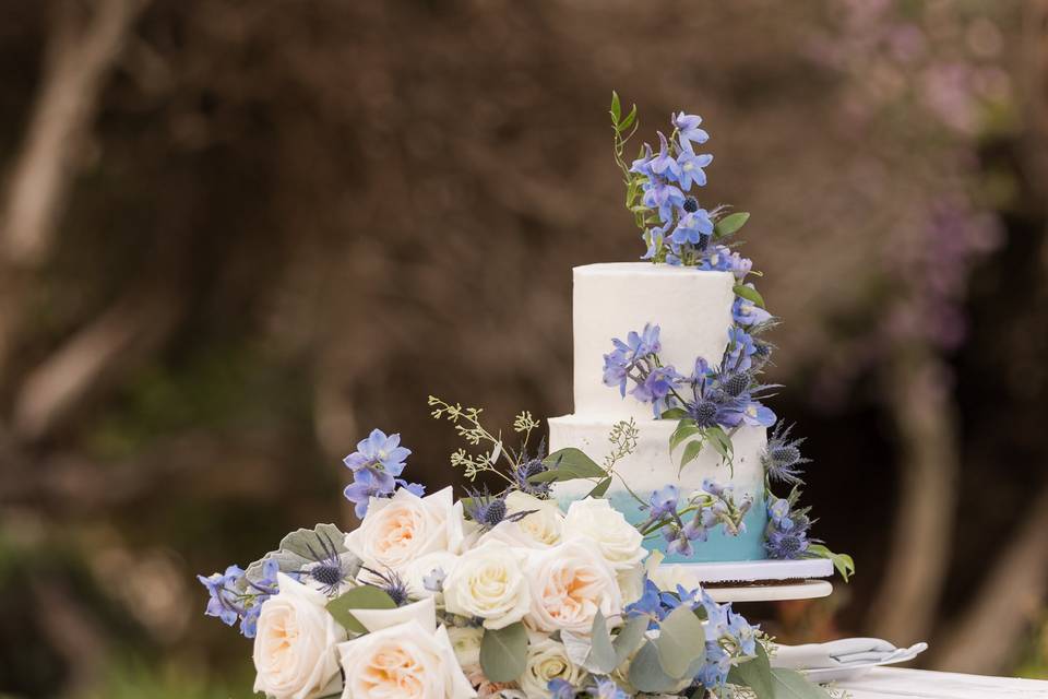 Ocean Themed Cake.