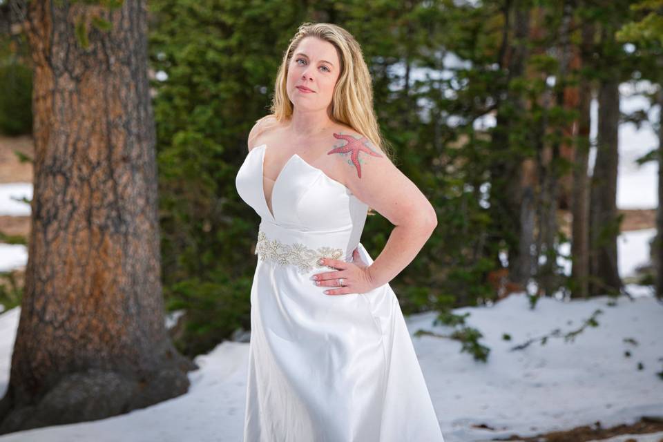 Beautiful Bride in the Snow