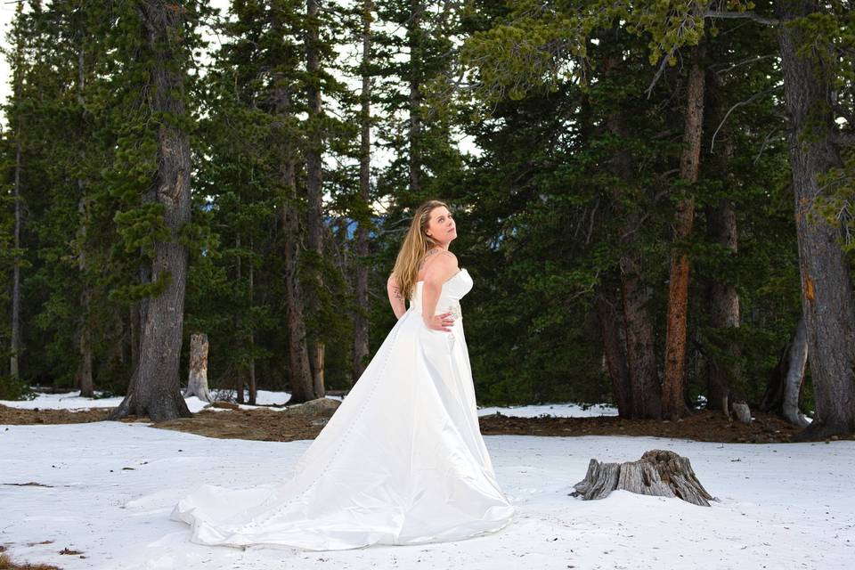 Bride in the Snow