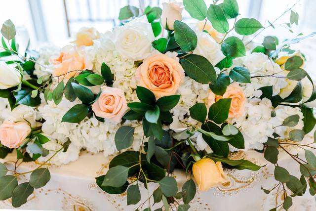 Arlene Jacobs Photography