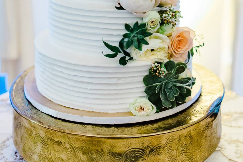 Arlene Jacobs Photography