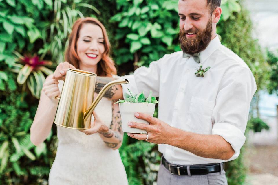 Arlene Jacobs Photography