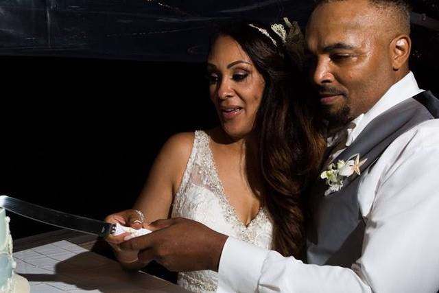 Cake Cutting