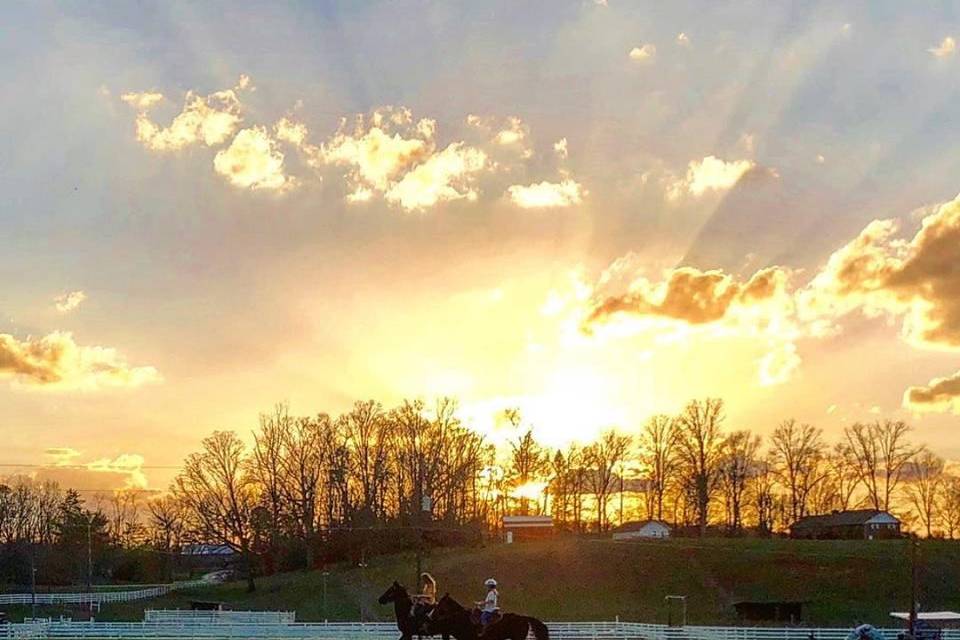 Horseback riding