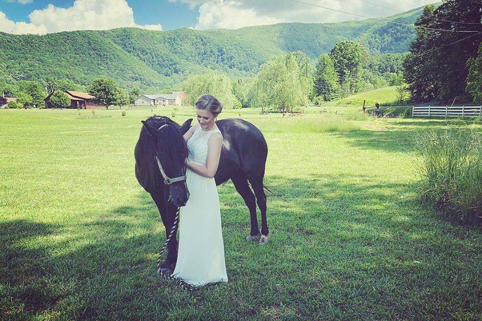 Bride with the horse