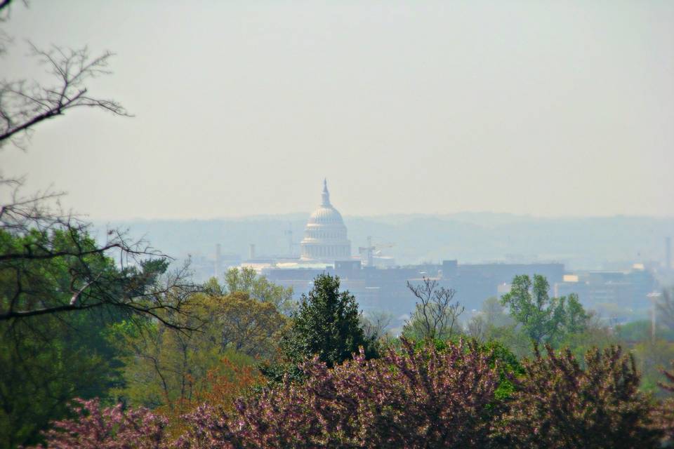 View from the Venue