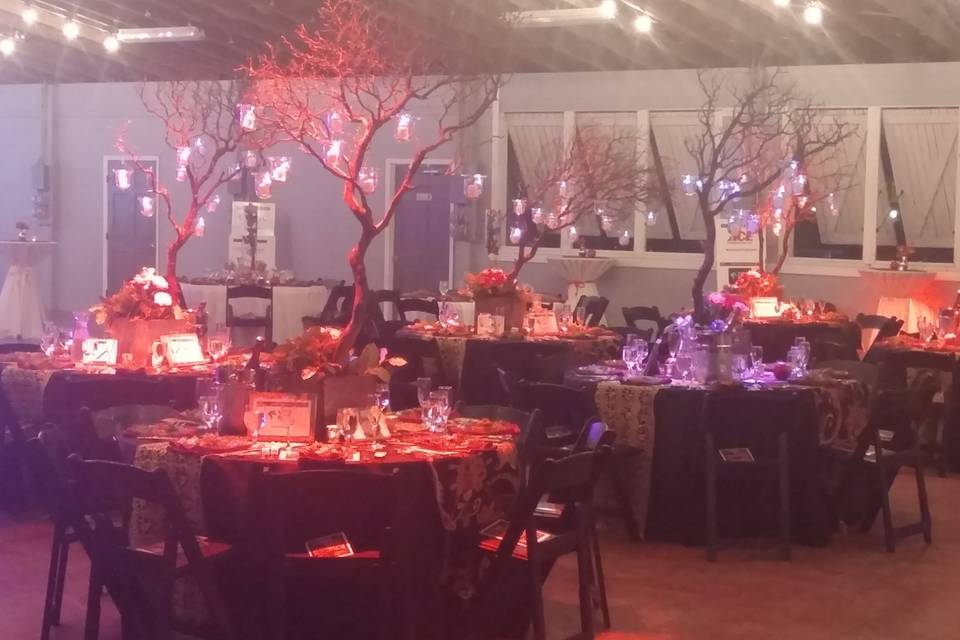 An example of some table lighting illuminating the topiary center pieces. These are later changed within their setting to become activated by the sound of dance music. They can also be manually controlled throughout the night.