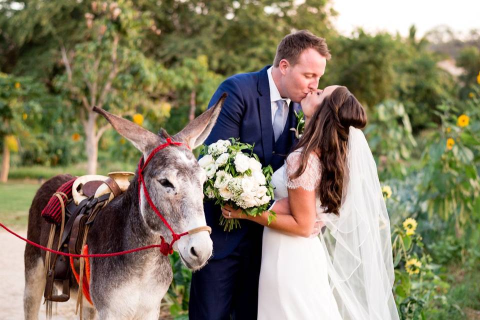 Destination Wedding