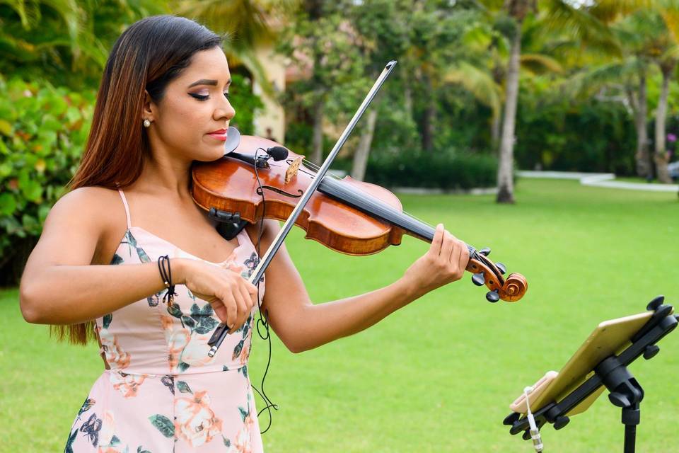 Violin for Ceremony