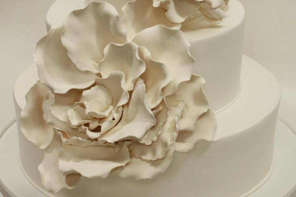 Magnolias