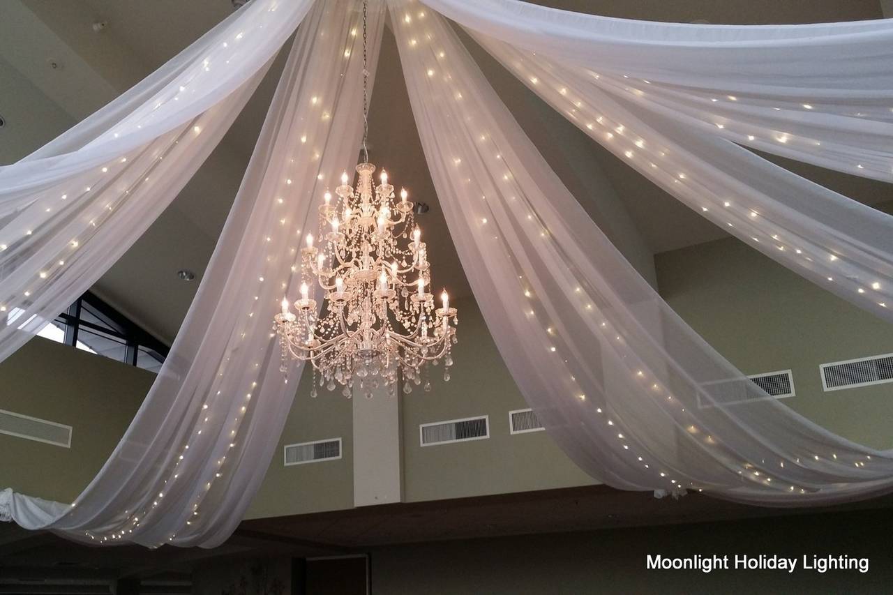 Moon Light Holiday Lighting - Lighting & Decor - Orem, UT - WeddingWire