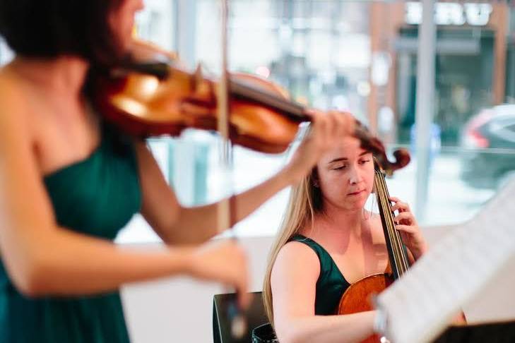 Wedding Violinist