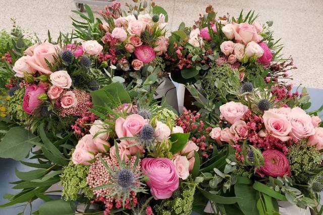 Creative Touch in Bloom