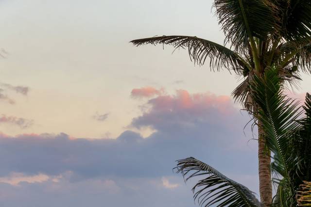 Hilton Cancún Mar Caribe