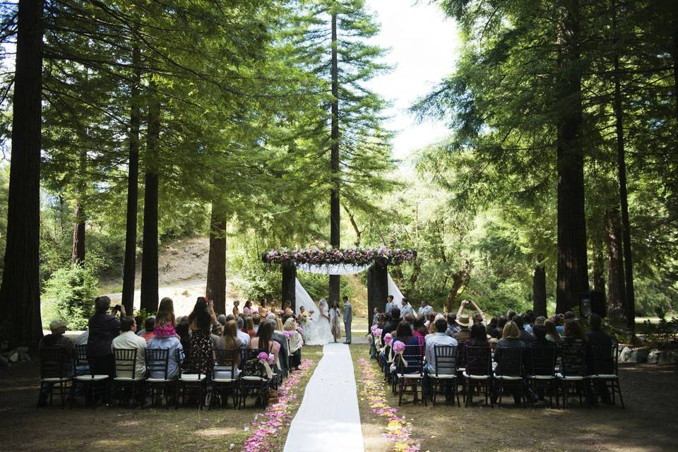 Wedding in the woods