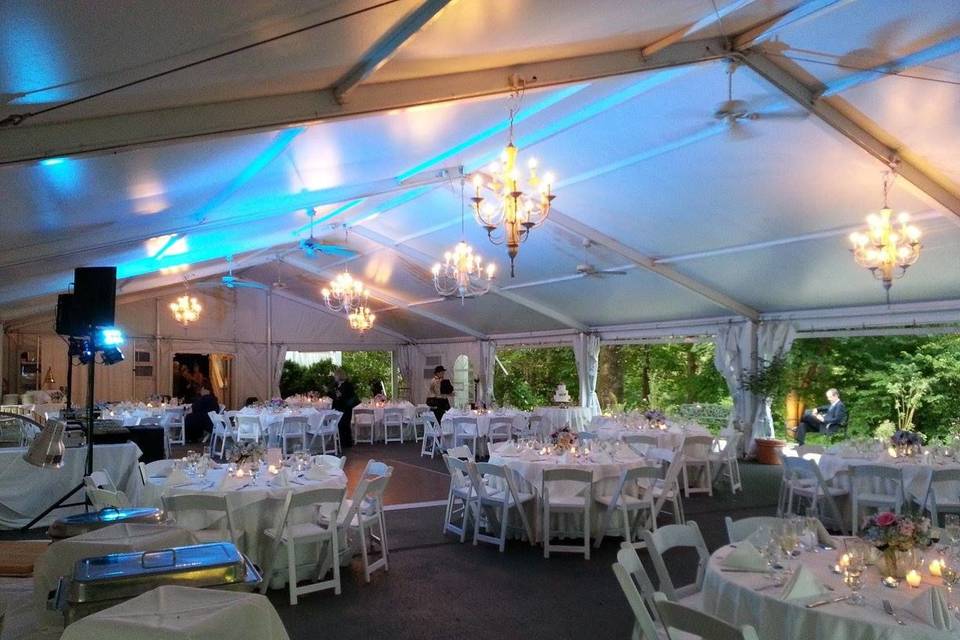 Wedding reception