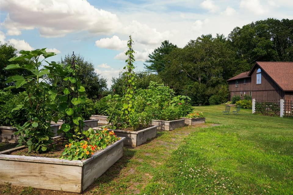 Garden area