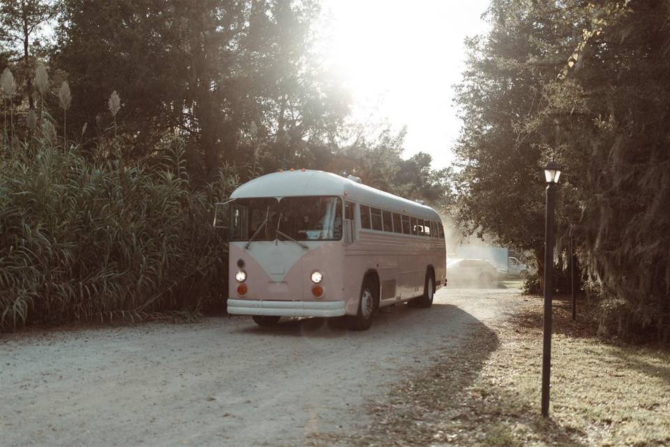 Guests arriving in style!