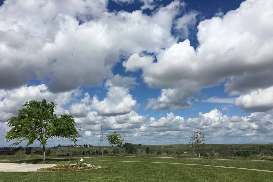 The Park on the Bluffs