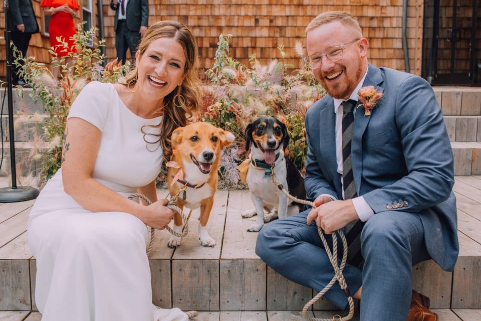 Couple with their dogs, Best Day Ever Photography