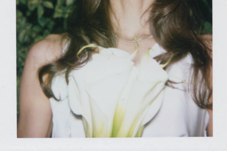 Sam - Polaroid