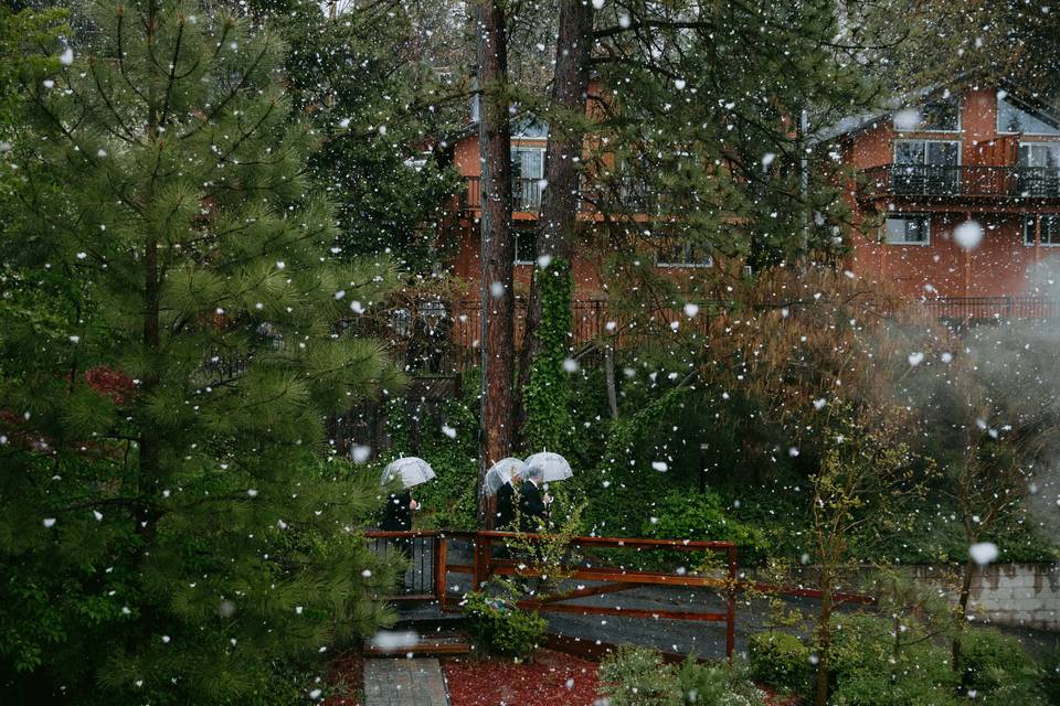 Snowy Wedding