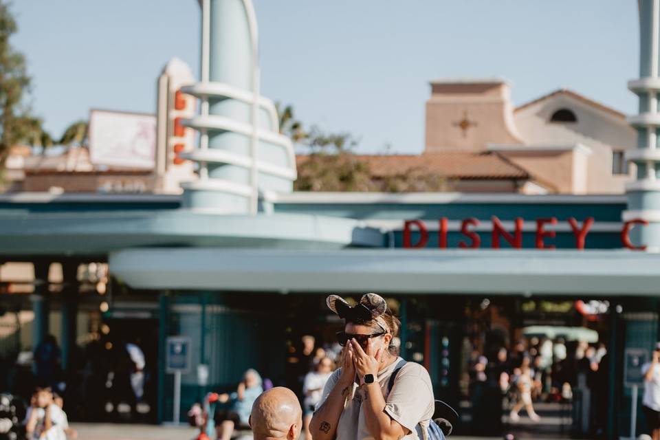 Proposal at Disney