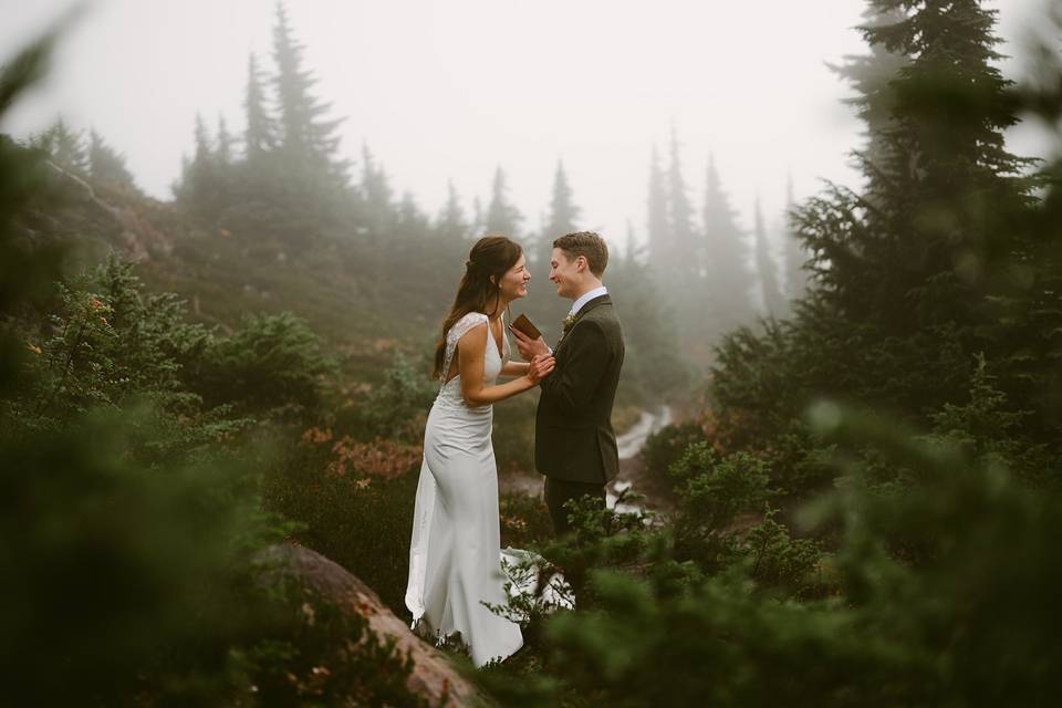Artist Point Elopement