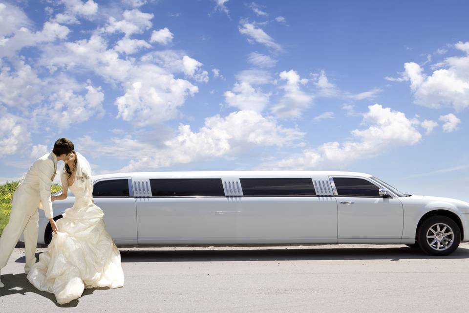 Stretch Limo at the Wedding