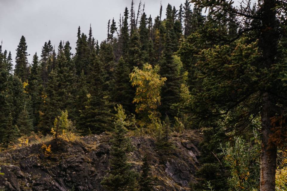 Alaska Wedding: Glacier Shoot