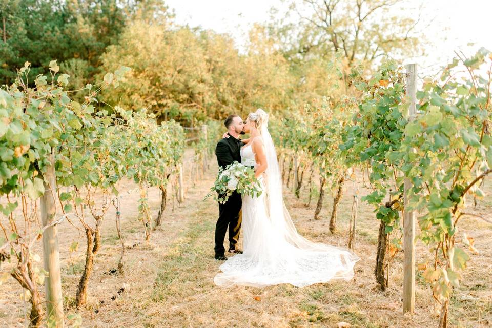 Blue Mountain Vineyard Wedding