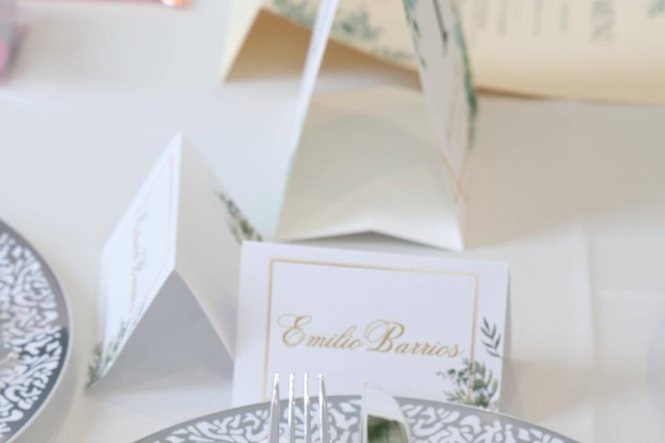 Table Set Up