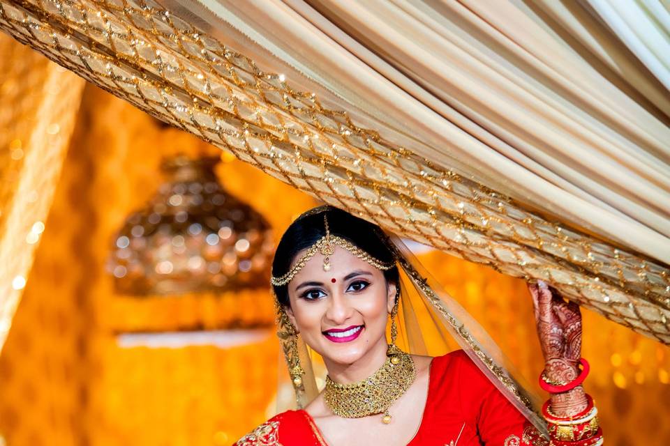 Bhavini & Parth | Wedding