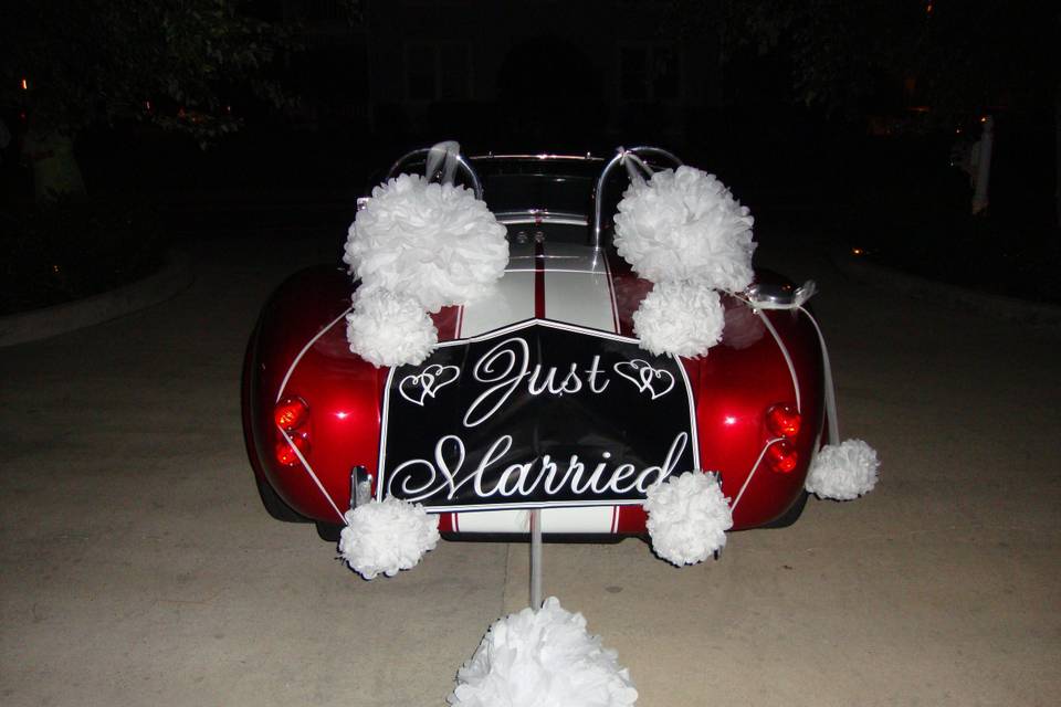 Just married sign