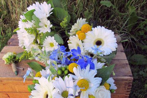 Bouquet of daisies