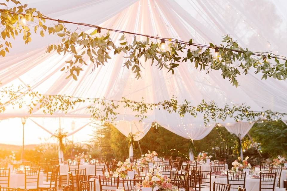Option for tented reception