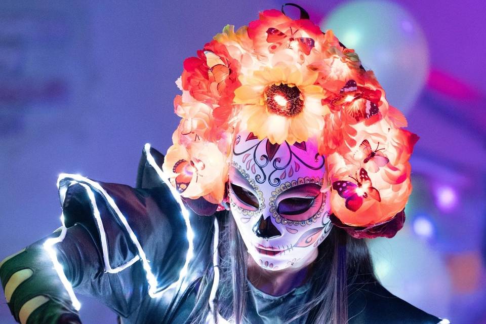 Agave Maria's Night Show