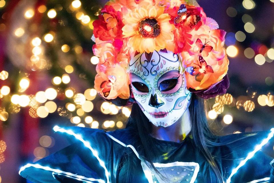 Agave Maria's Night Show