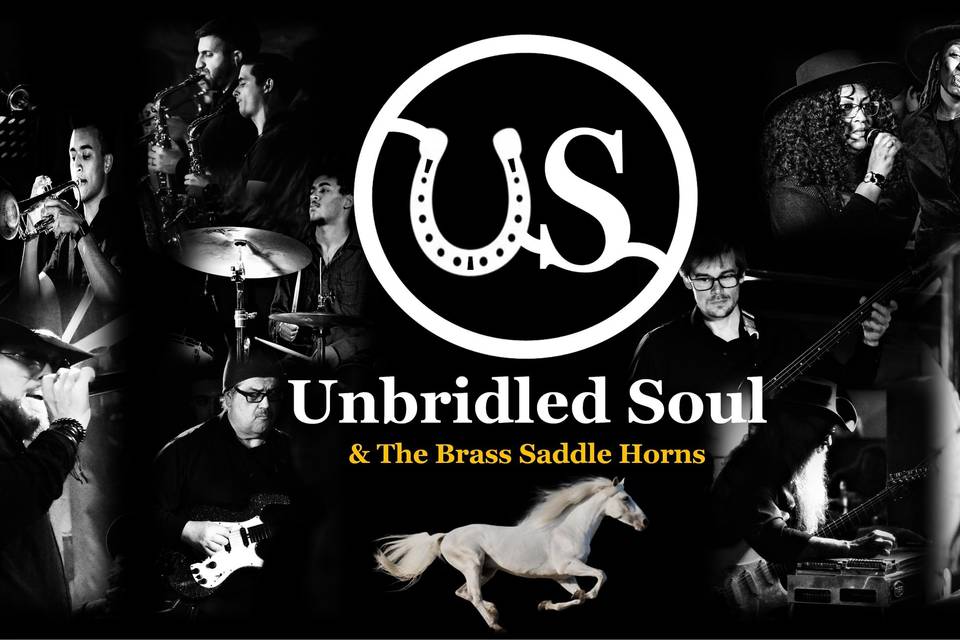 Unbridled Soul